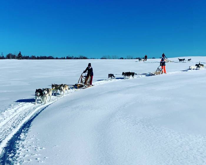 Dog sledding